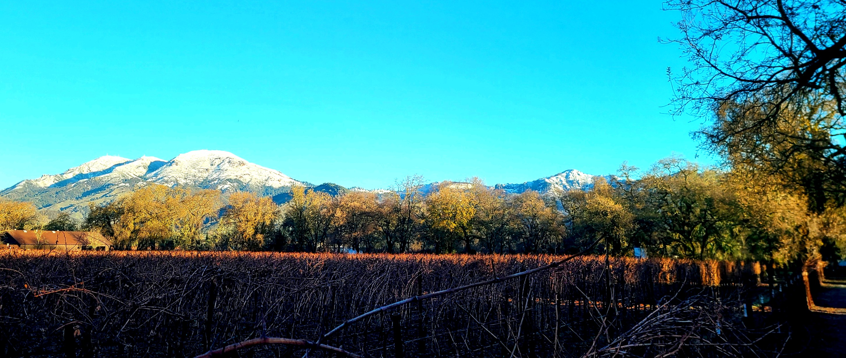Farm view with Blossom Creek and surrounding mountains